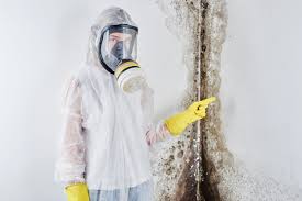 Best Biohazard Mold Removal in Manawa, WI